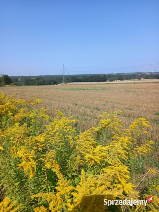 Działki budowlane 110 m Uniegoszcz sprzedam