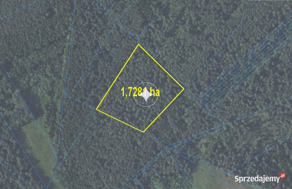 Działki leśne do sprzedaży Mokre gm Rossosz 115m