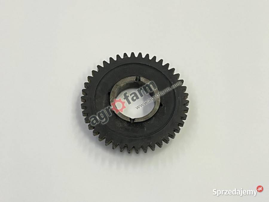 Koło zębate Z42 Same Centauro 70 75 55 dolnośląskie