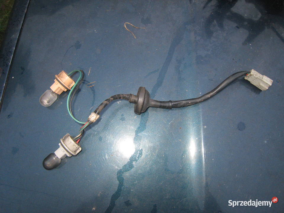 Wiązka lampy tylnej prawej oprawki żarówek Honda Lampy tylne Kraków