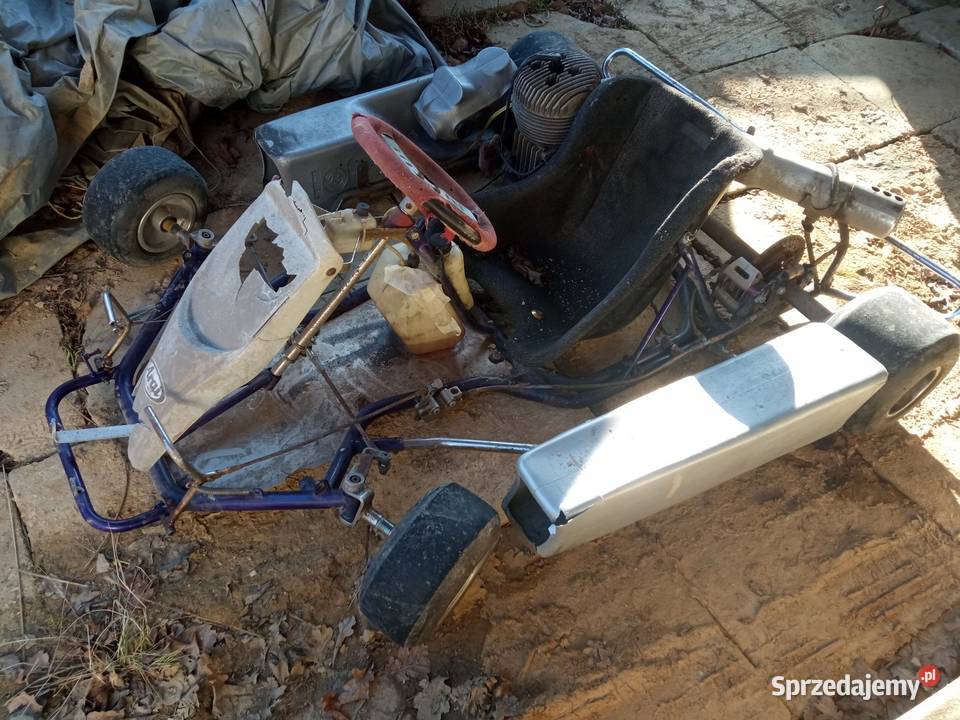Sprzedam gokart 125 rotax 2t sprawny Pozostałe Hadle Kańczuckie