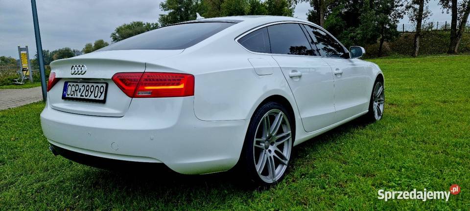 Sportback 20 150 Grudzień 2013r światła przeciwmgielne Grudziądz