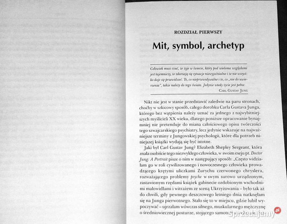 Jung i astrologia Piotr Piotrowski miękka Chełm