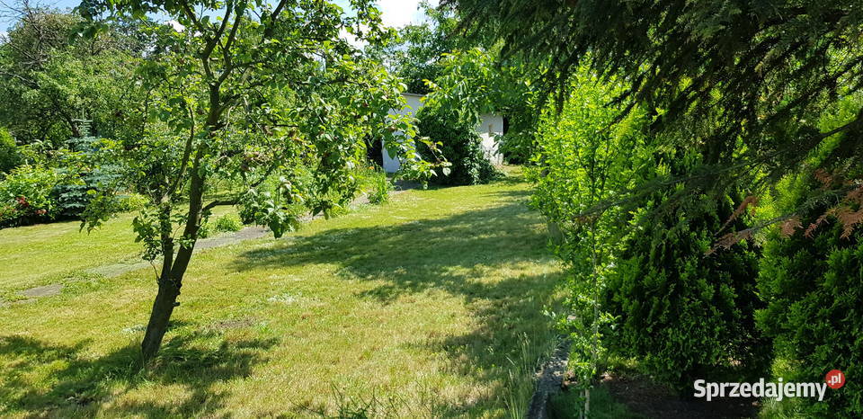 Super Działka Rekreacyjna ROD w centrum dolnośląskie