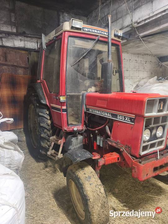 Case international 585xl zarejstrowany Gwizdów