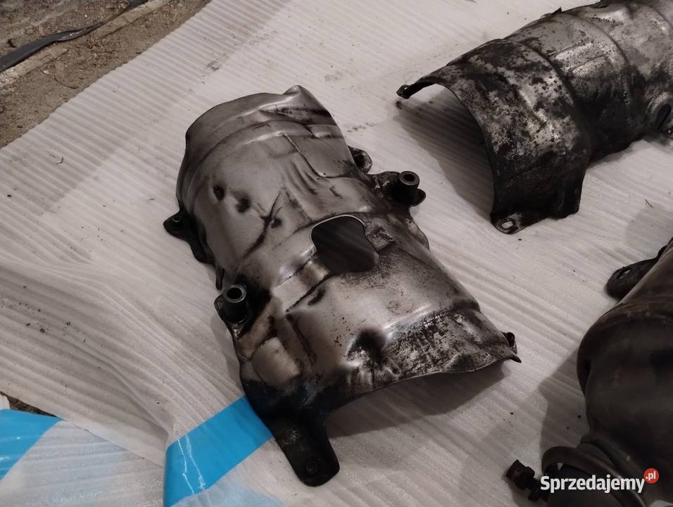 DPF pomorskie Rumia