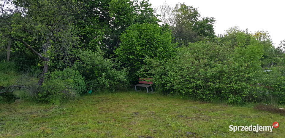 Odstąpię działkę ogrodową ROD Gdańsk Chełm sprzedam