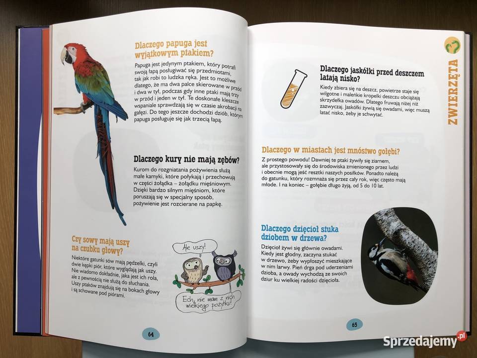 Nowa książka dociekliwych odkrywców CO I małopolskie Kraków