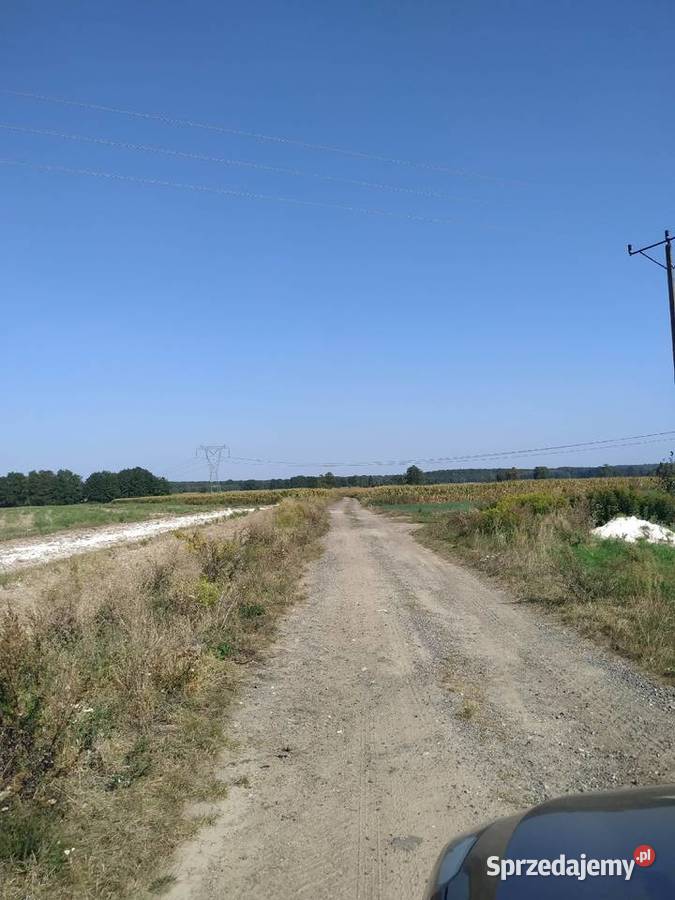 Działka Siedliskowa Sadków gmina Dobroszyce polna dolnośląskie