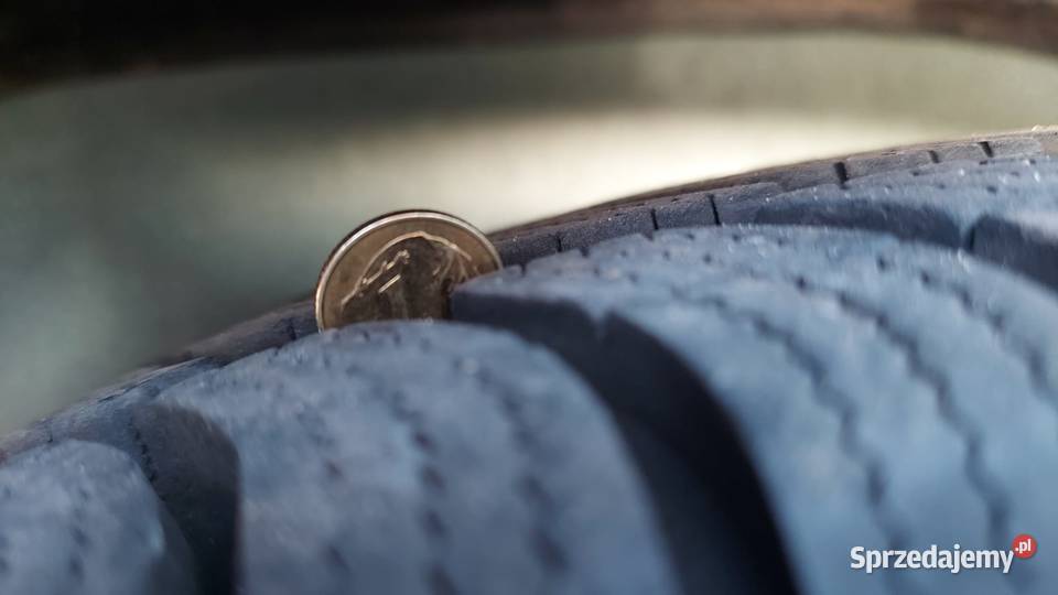 PRZYCZEPA DO PRZEWOZU KONIDMC 1200 KAT B Humbaur Marwice