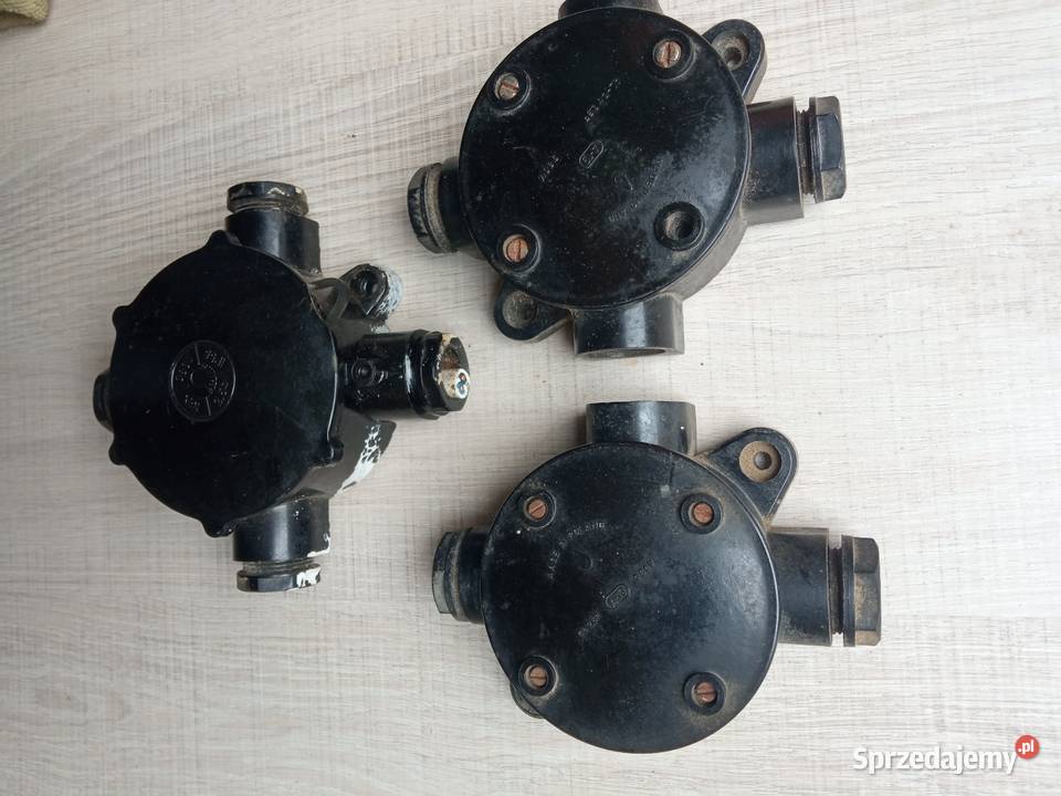 Kolekcjionerskie rzeczy starociewykopki z haty Sosnowiec