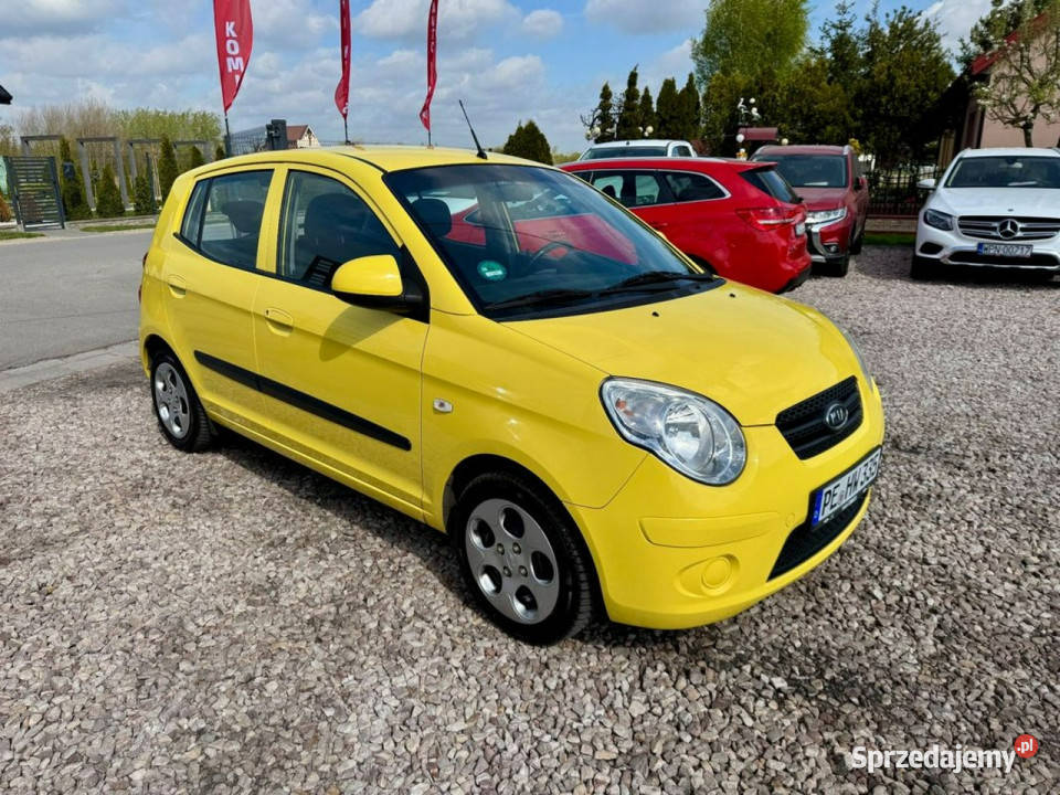 Kia Picanto Kia Picanto 11 Ładny Sprawny benzyna Picanto