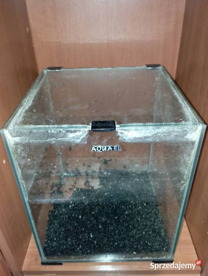 Sprzedam Akwarium 20 l Kutno sprzedam