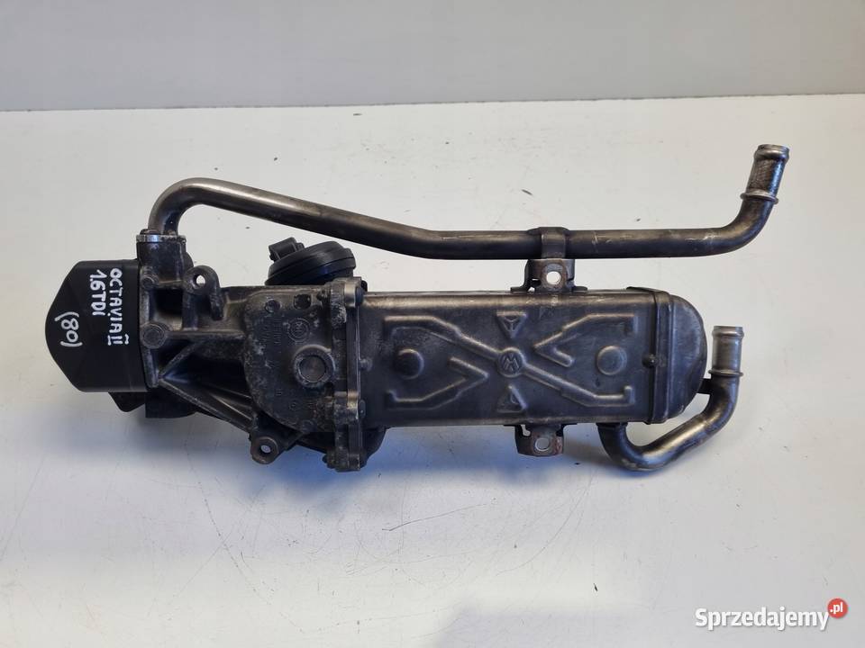 CHŁODNICA SPALIN EGR VW Golf VI A3 8P Octavia II osobowe Rudka sprzedam