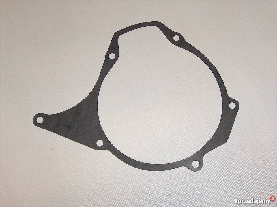 USZCZELKA ALTERNATORA TZR 125 8794