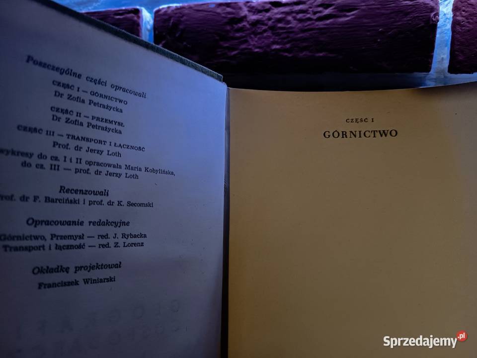 Geografia Gospodarcza Polski Warszawa 1962