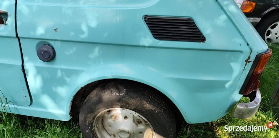 126p turchese farfalla 463 Bieliny