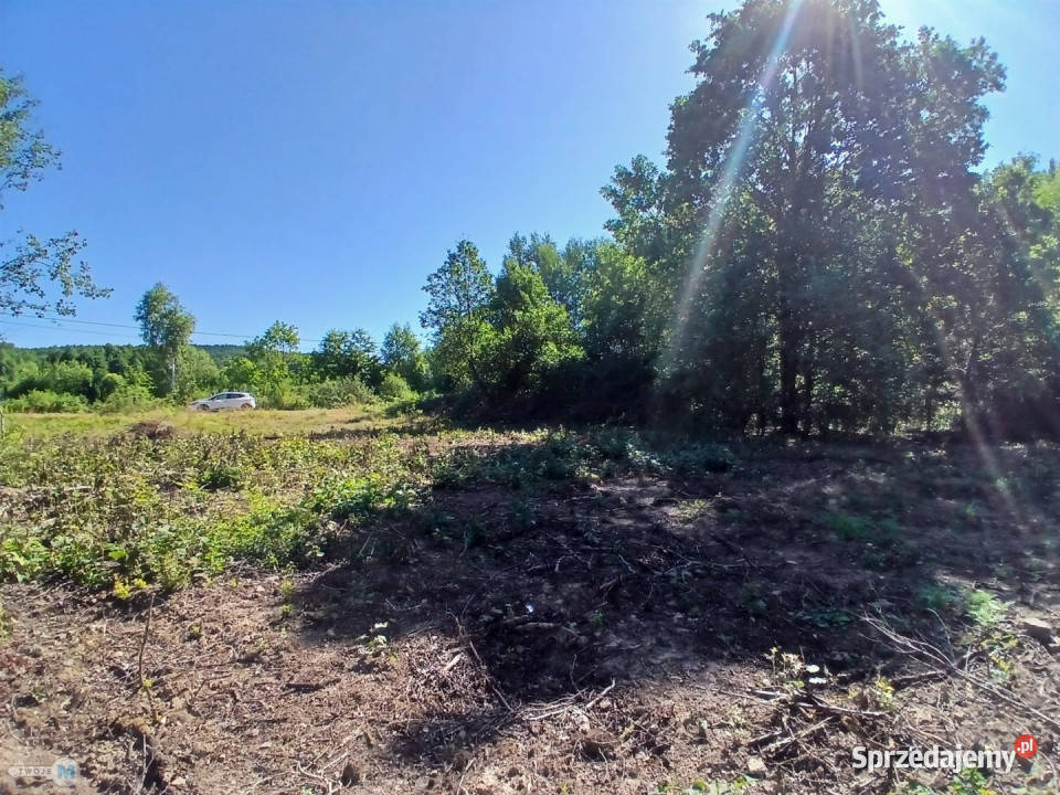 sprzedaży gruntu Raków 9100m2 10zł/m2
