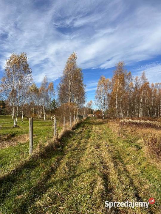 Działka budowlana Wymiarki
