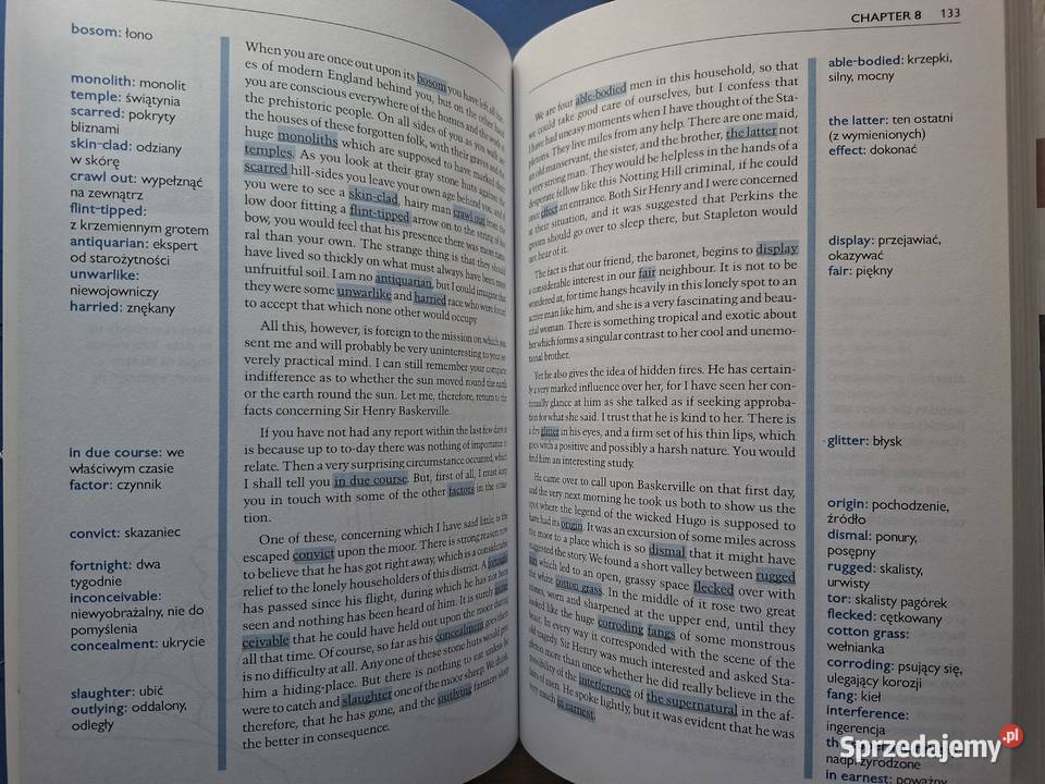 Sherlock Holmes i pies Baskervilleów z Książki do nauki języka obcego Kraków