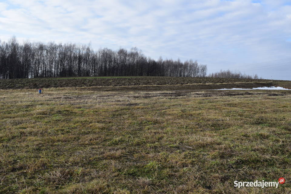 Działka budowlana 107a w Woli Rafaowskiej budowlana Wola Rafałowska