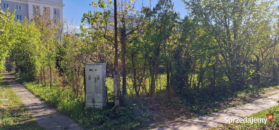 300 m zieleni na Mokotowie działka ROD z Warszawa