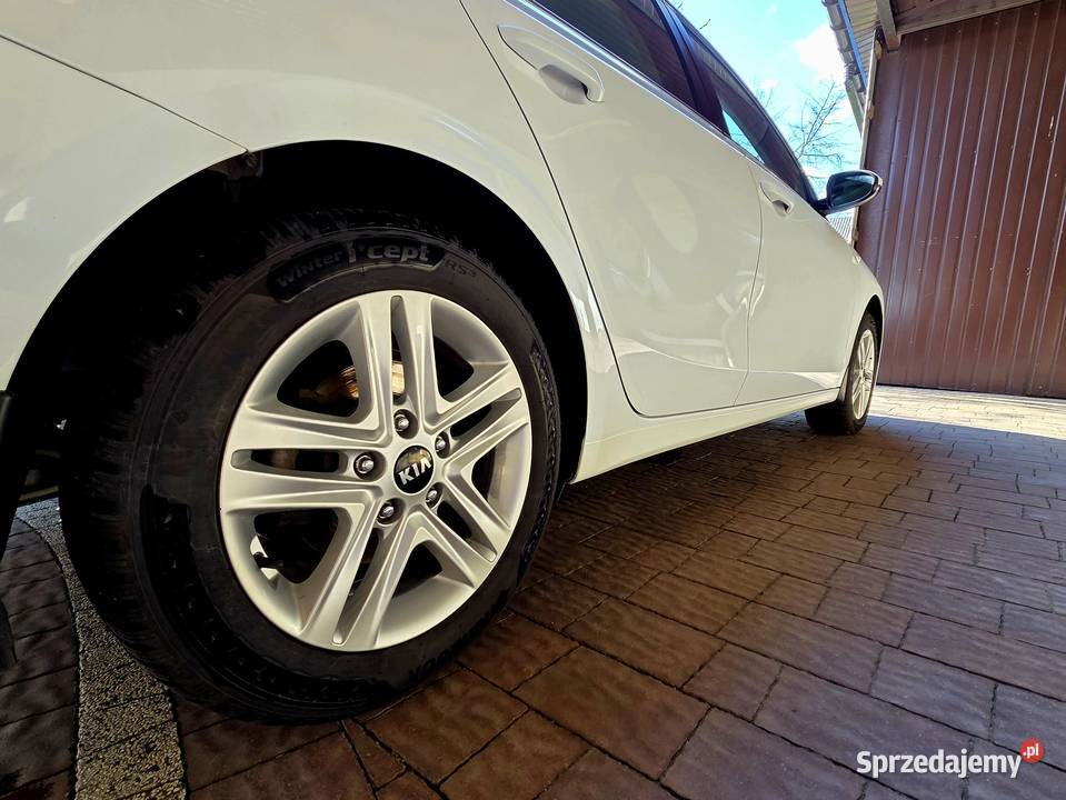 KIA CEED 2020 16 CRDI Motoryzacja Baczki