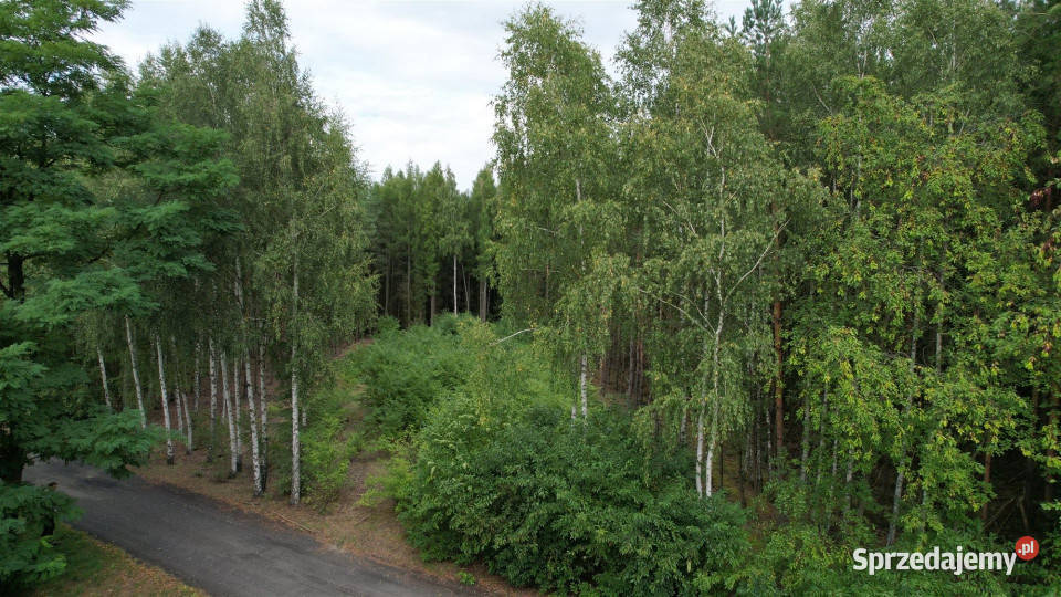Do sprzedaży grunt 5100m2 Przymiłów sprzedam