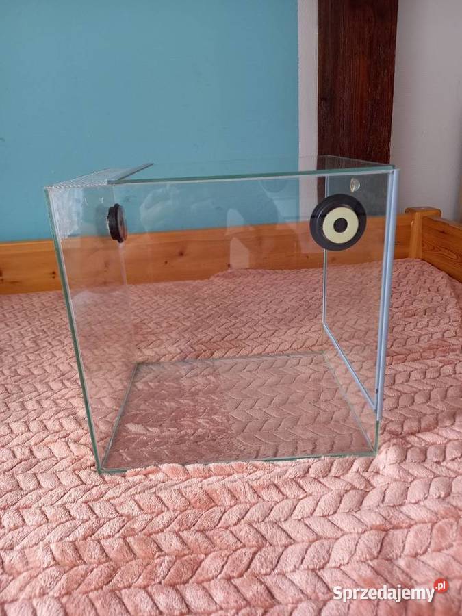 Terarium Terrarystyka Gorzów Wielkopolski