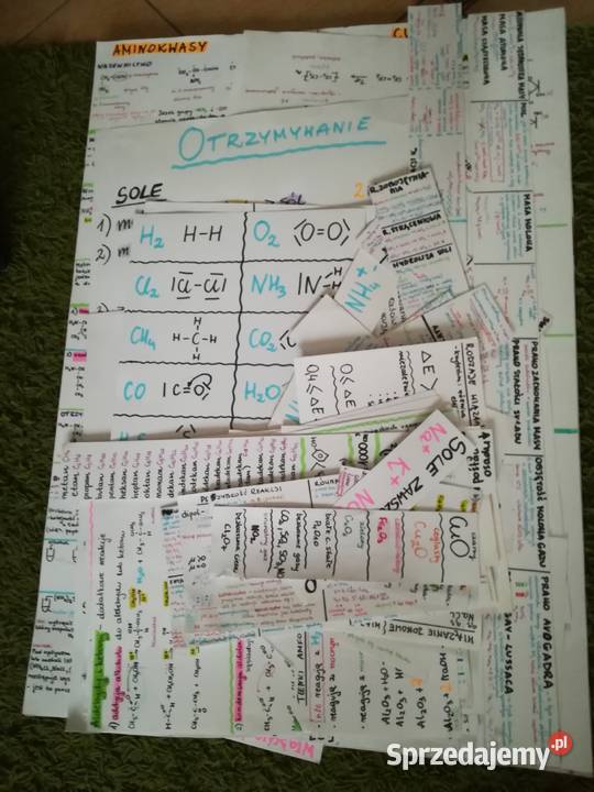 Notatki w formie tablic chemia organiczna Łódź sprzedam