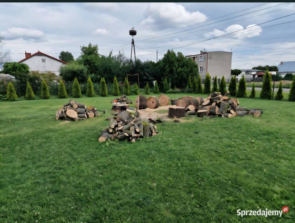 Koszenie trawy karczowanie zarośli wycinka drzew Kostrzyn nad Odrą