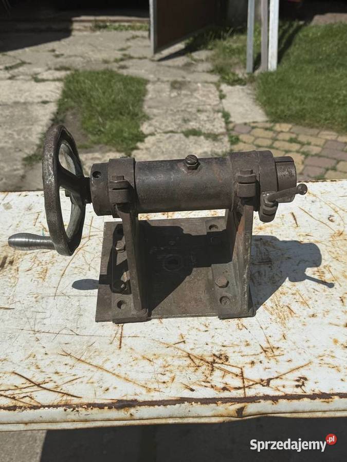 Konik tokarski Pozostałe śląskie Łaziska Górne