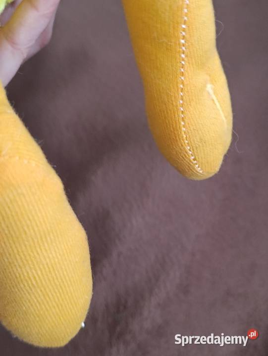 tweety ptaszek pluszak maskotka Poznań