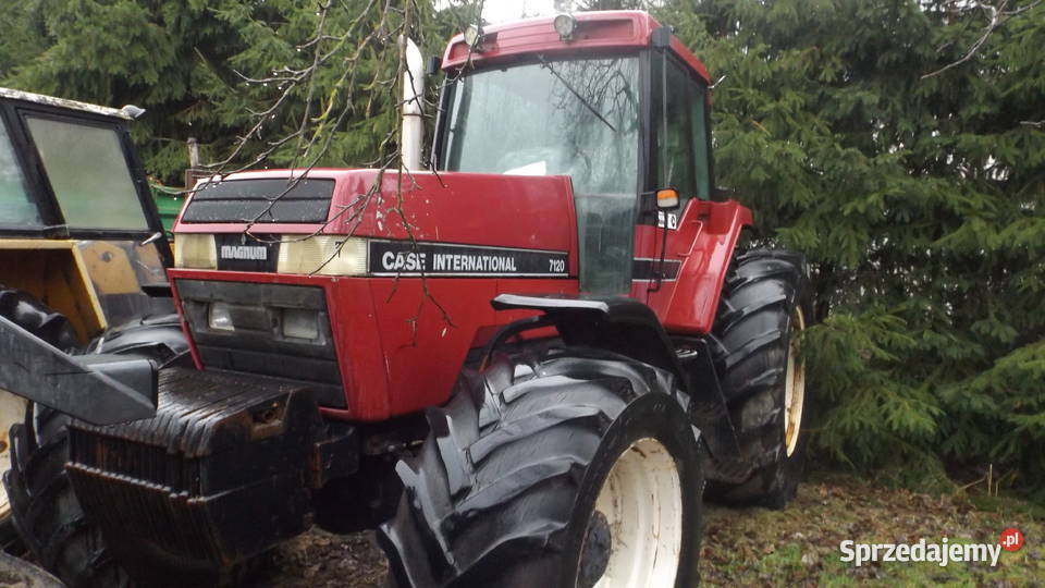 case international Łuków