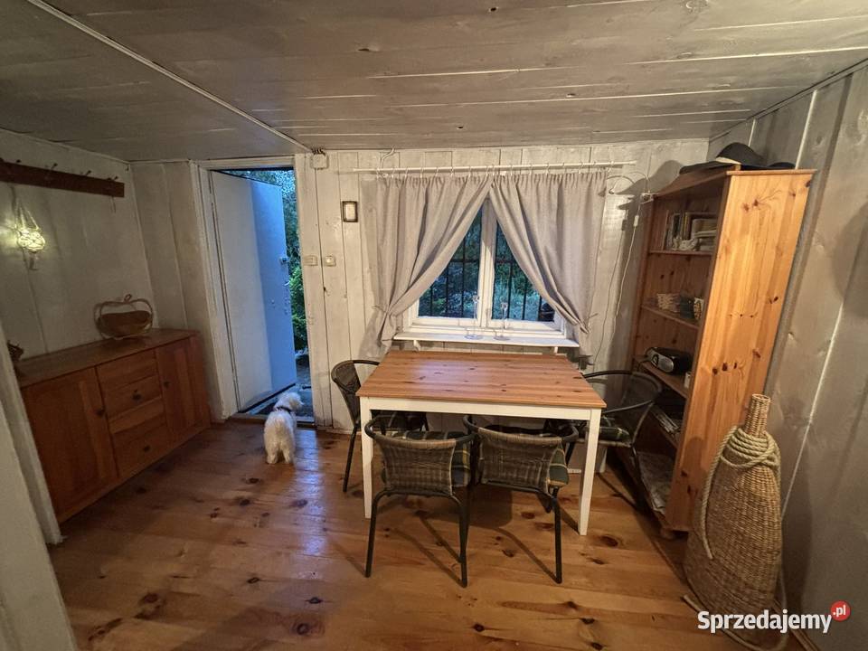 Działka ROD Cyklamen Sprzedaż Nieruchomości Warszawa