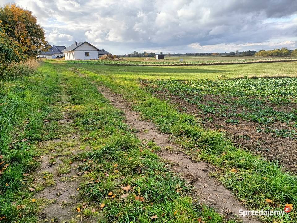 Działka budowlana rolna 60m2 prąd