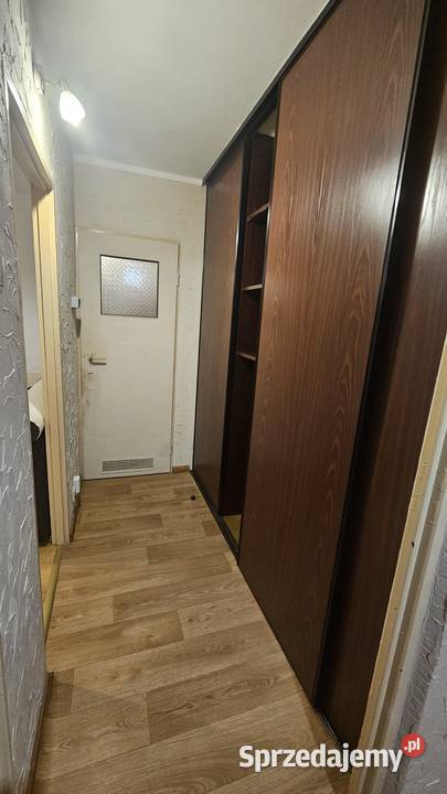Mieszkanie do wynajęcia Zduńska Wola Wynajem