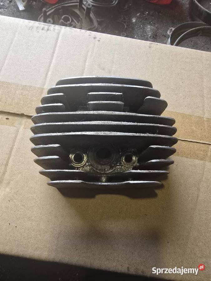 Glowica jawka Gorzów Wielkopolski