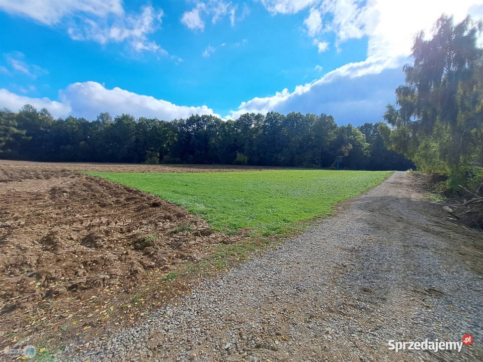 Ogłoszenie grunt 8879m2 Łagów kanalizacja