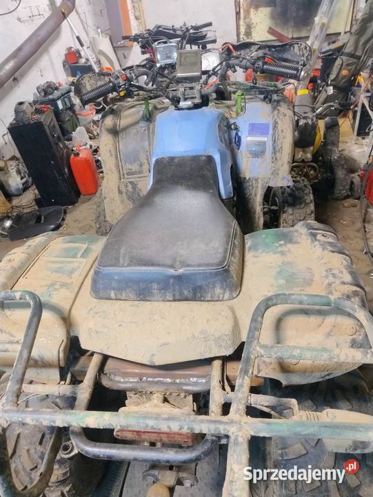 Bashan 250 zachodniopomorskie Kołobrzeg