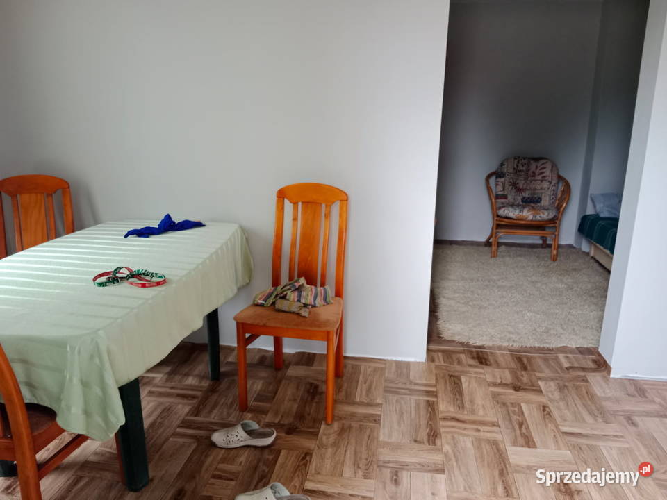 Działka ROD Pozostałe Elbląg