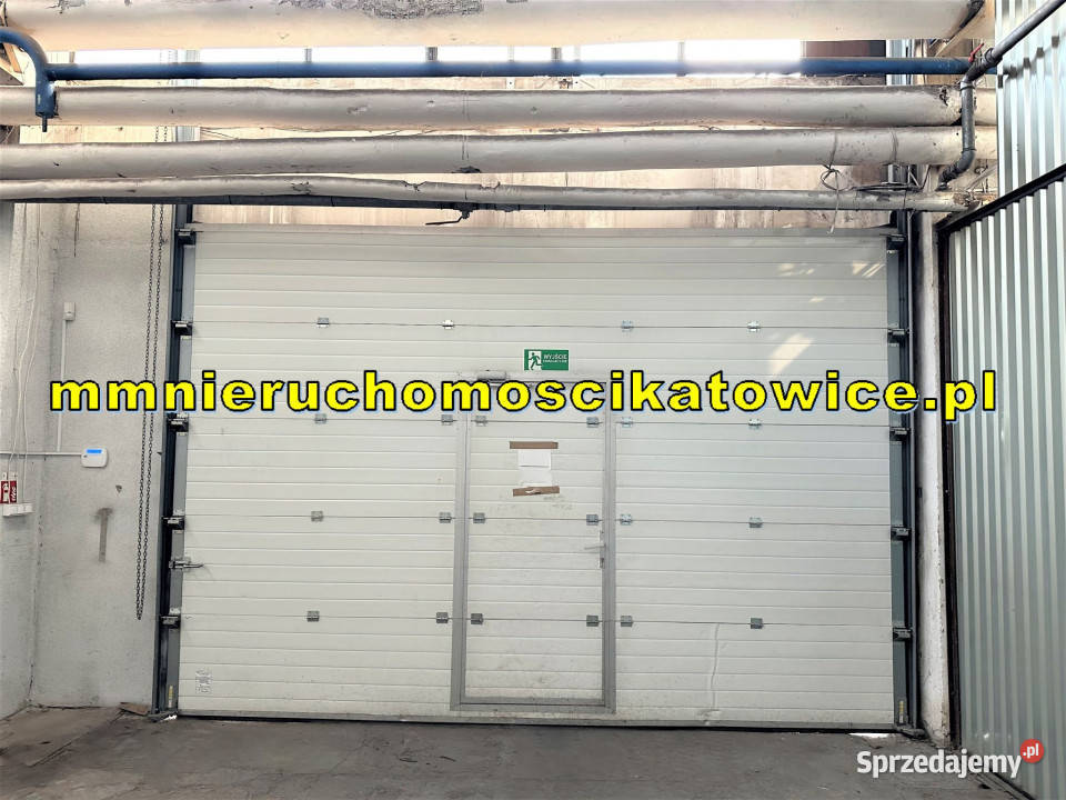 Hala ogrzewana do wynajęcia Katowice DTŚ