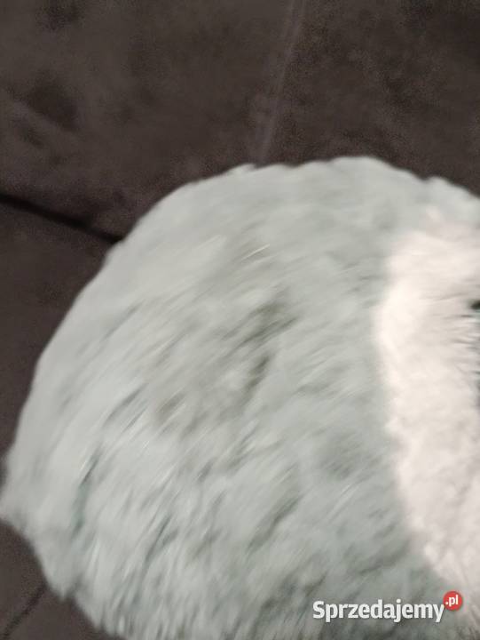 maskotka to Sowa Zosia z Gangu Słodziaków Maskotki Maskotki