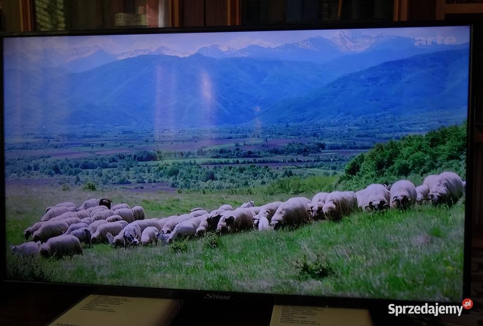 Płyta główna MS34630ZC0101 z TV SRT 40FZ4013N Szczecin