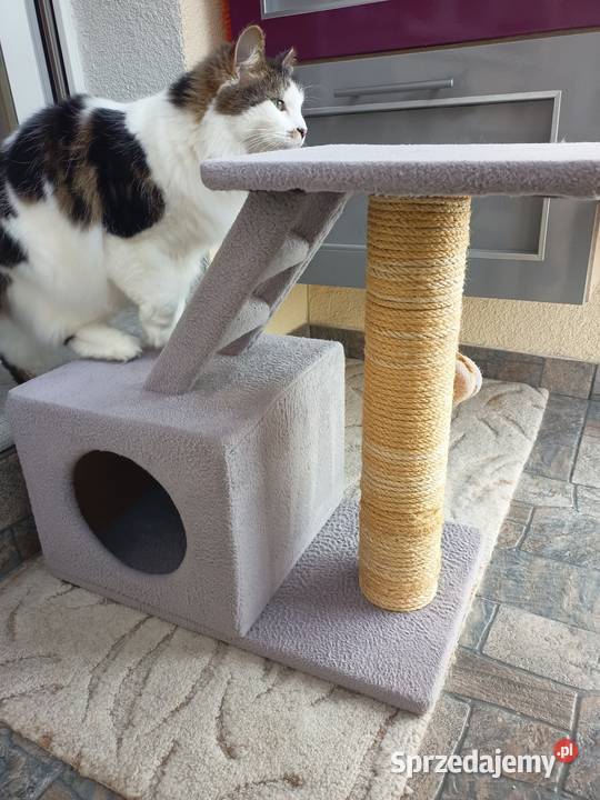 Drapak kota kujawsko-pomorskie Włocławek sprzedam