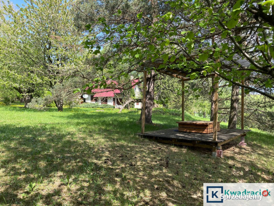 Dom wolnostojący 100m2 Zarzecze 3245m2