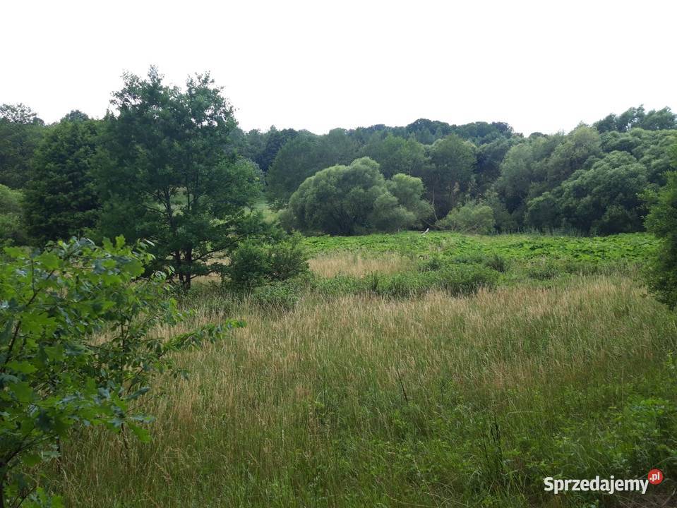 Działka budowlana z dostępem do rzeki 24zł/m2 Lipie