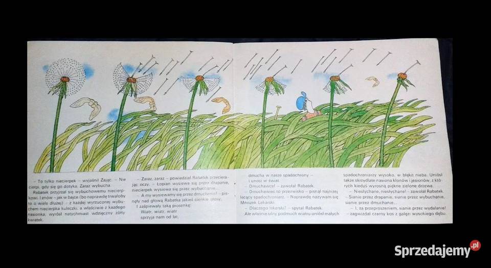 Sami ogrodnicy Maria Terlikowska Chełm