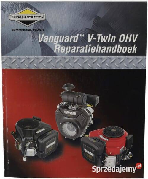 Instrukcja naprawy 805619