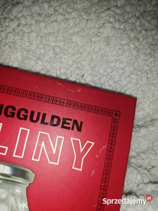 książka toliny dzieci Rumia